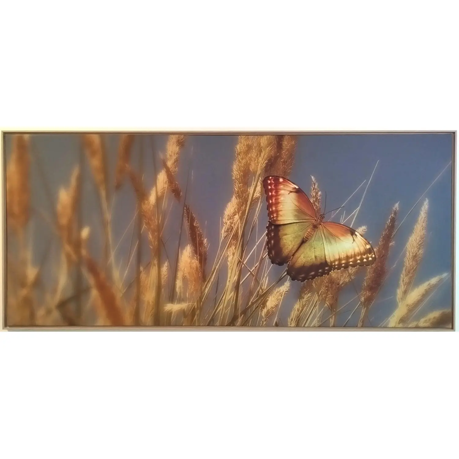 Bondecor Obraz, MDF rám, SHADOW Butterfly 59 x 134 cm