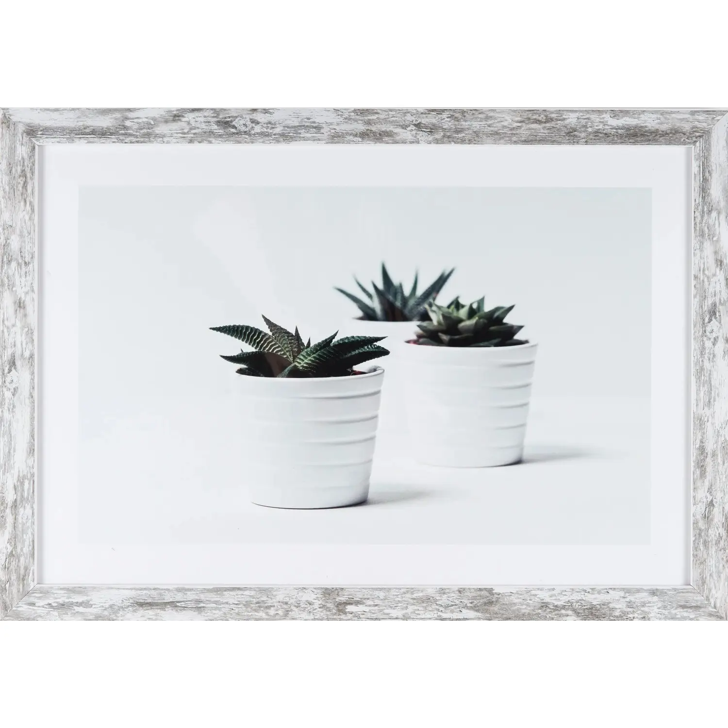 Bondecor Obraz v moderním rámu Free 37 x 53 cm