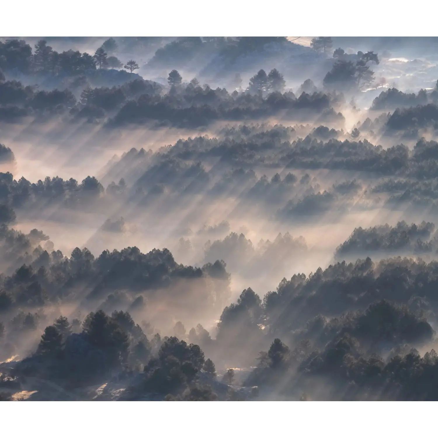 Komar Vliesová fototapeta Rays 300 x 250 cm
