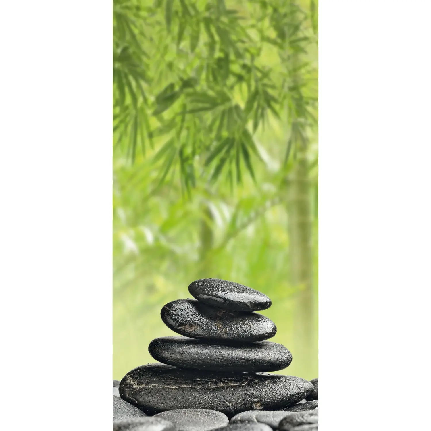 Sanotechnik Dekorativní sprchový panel Sanowall, wellness L, 125 x 250 cm