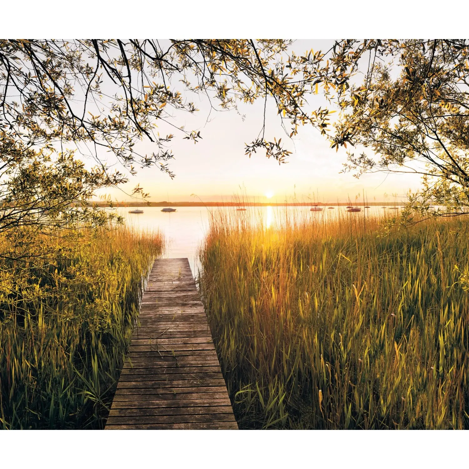 Komar Vliesová fototapeta Lakeside 300 x 250 cm