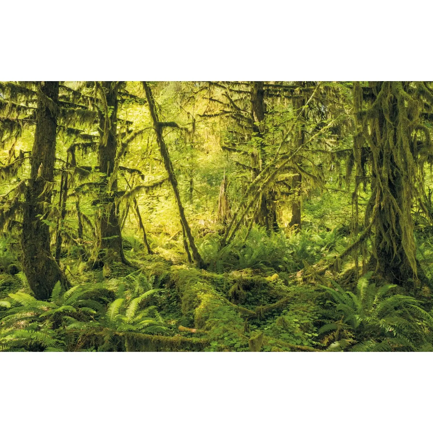Komar Vliesová fototapeta Ancient World 400 x 250 cm