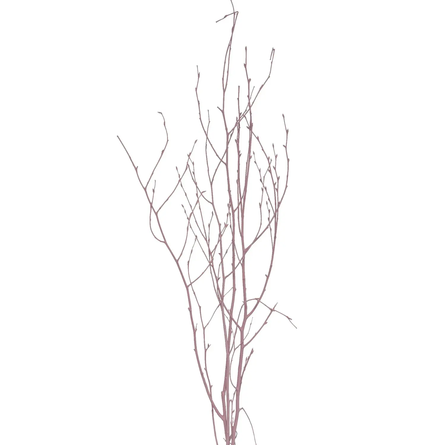 Star Home Decor Březové větvičky svazek Betula pastelově růžové 110 cm