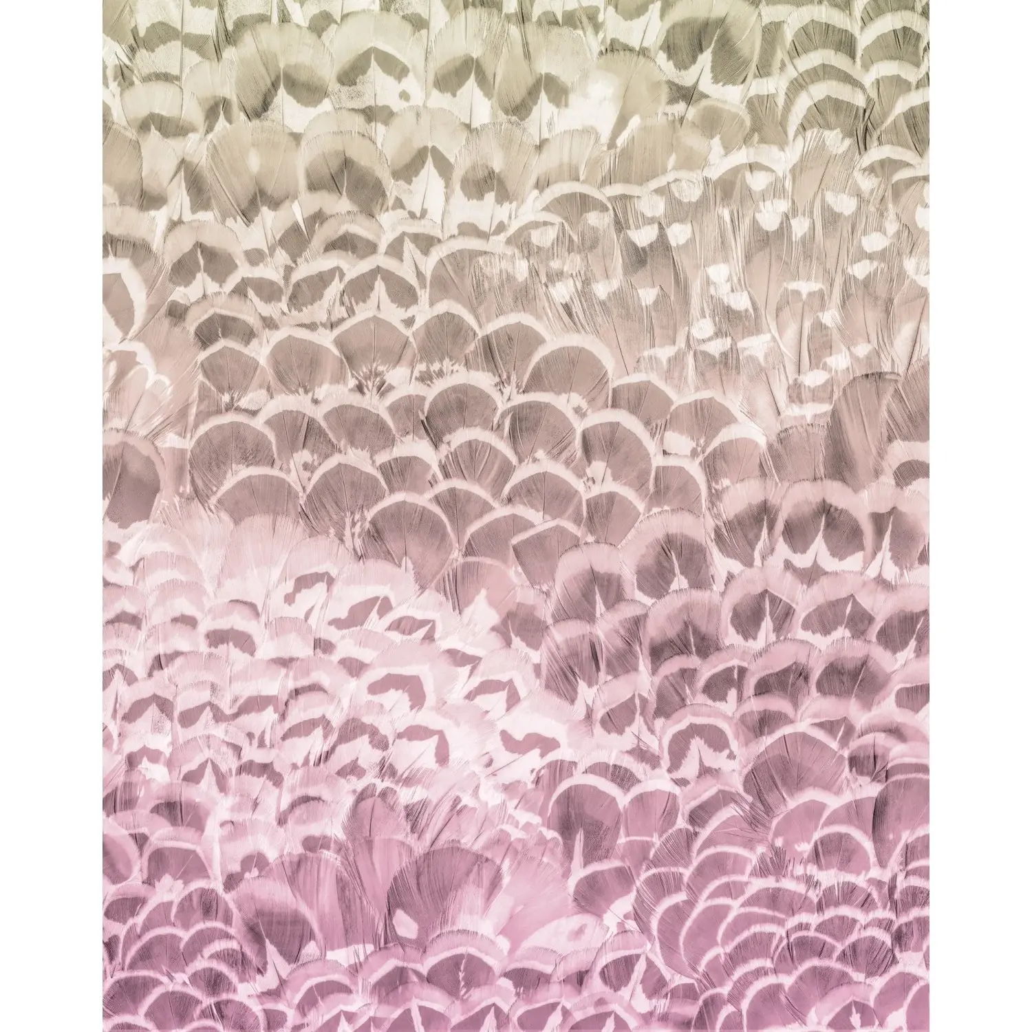 Komar Vliesová fototapeta Pale Feathers 200 x 250 cm