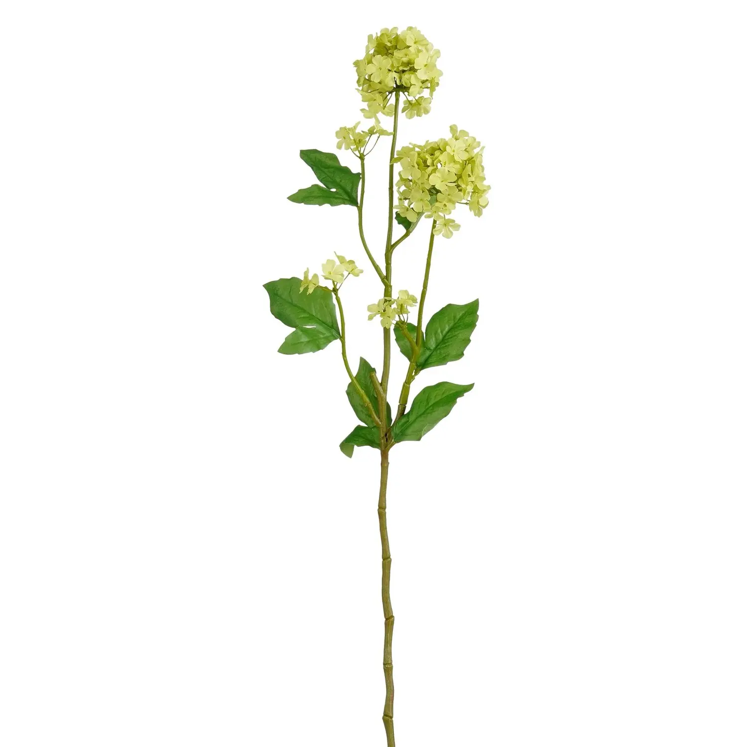 MICA Decorations Umělá rostlina Viburnum krémová 71,5 cm