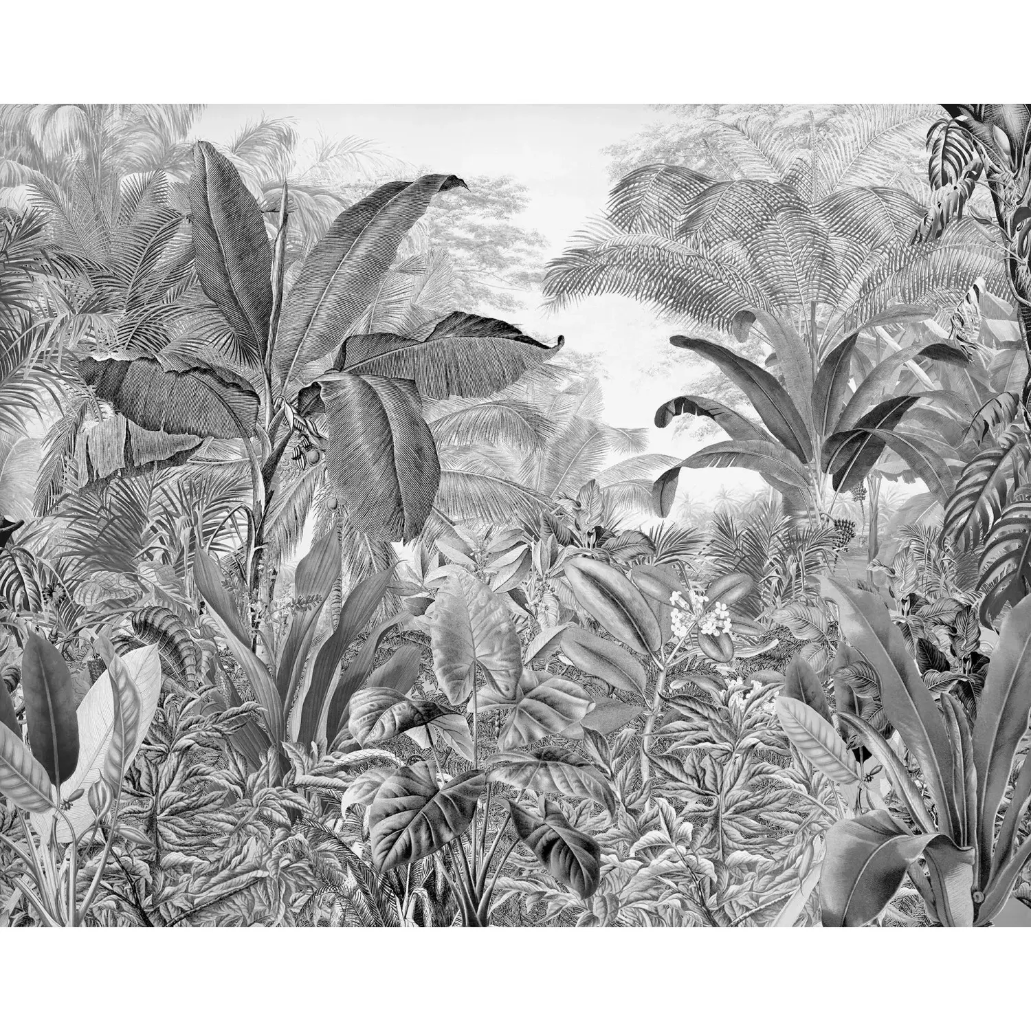 Komar Vliesová fototapeta Roraima 350 x 280 cm
