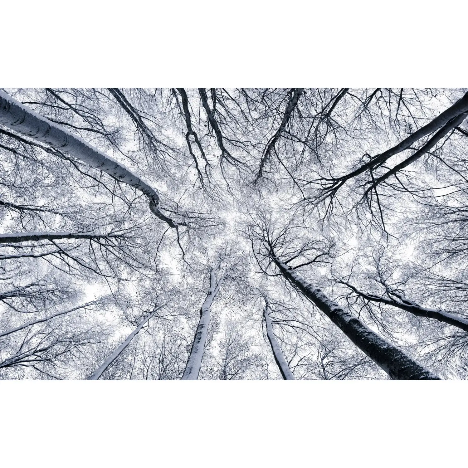 Komar Vliesová fototapeta Up 400 x 250 cm