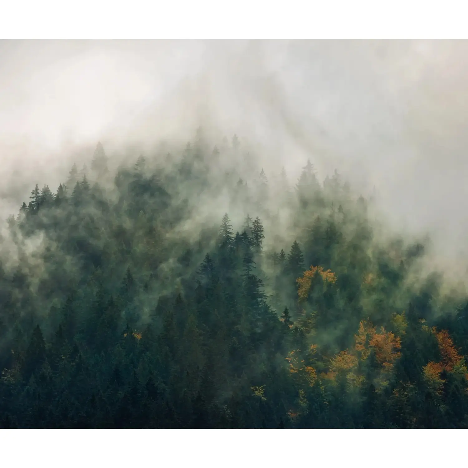 Komar Vliesová fototapeta Tales of the Carpathians, 300 x 250 cm