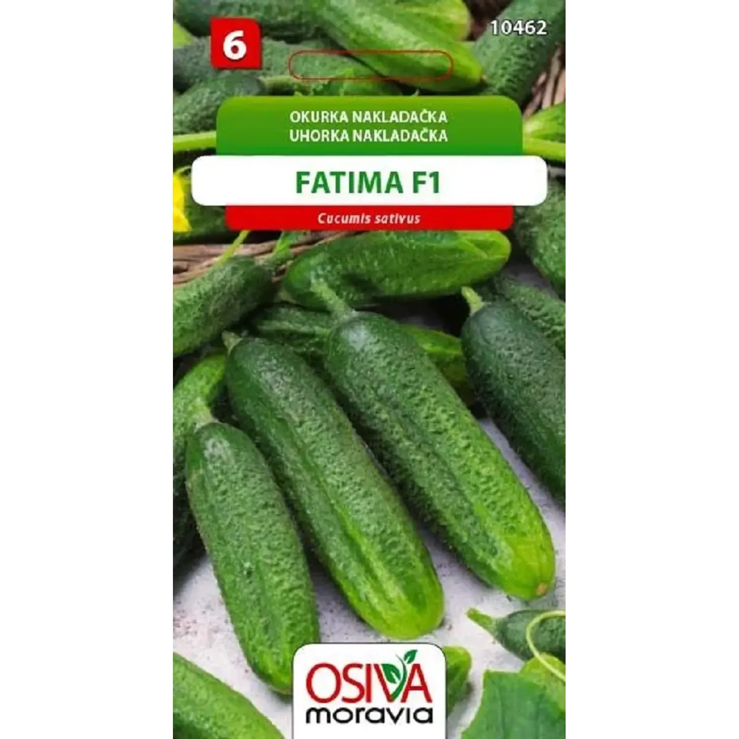 10462 Okurka F1 Fatima 1g / 1711