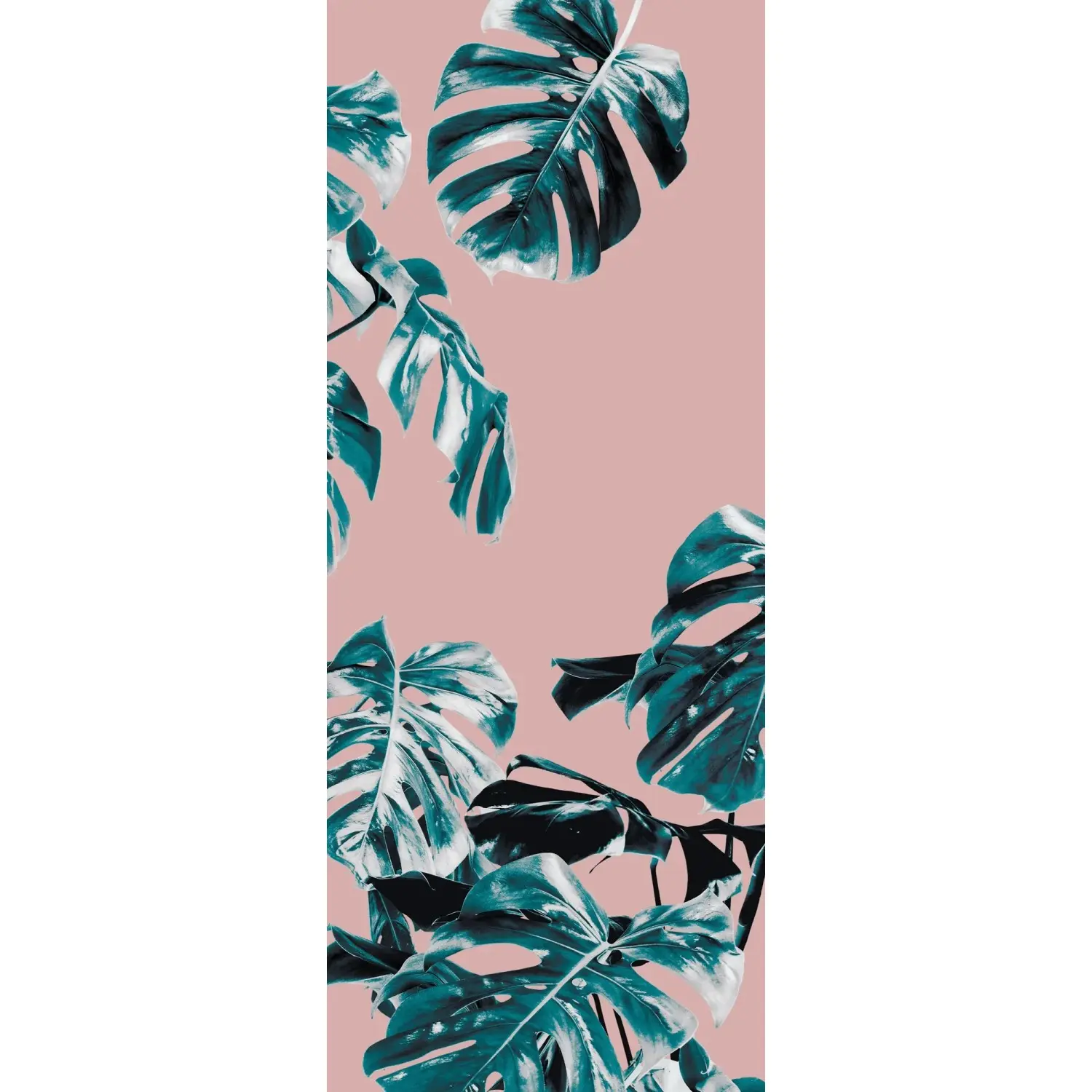Komar Vliesová fototapeta Monstera Rosé Panel 100 x 250 cm