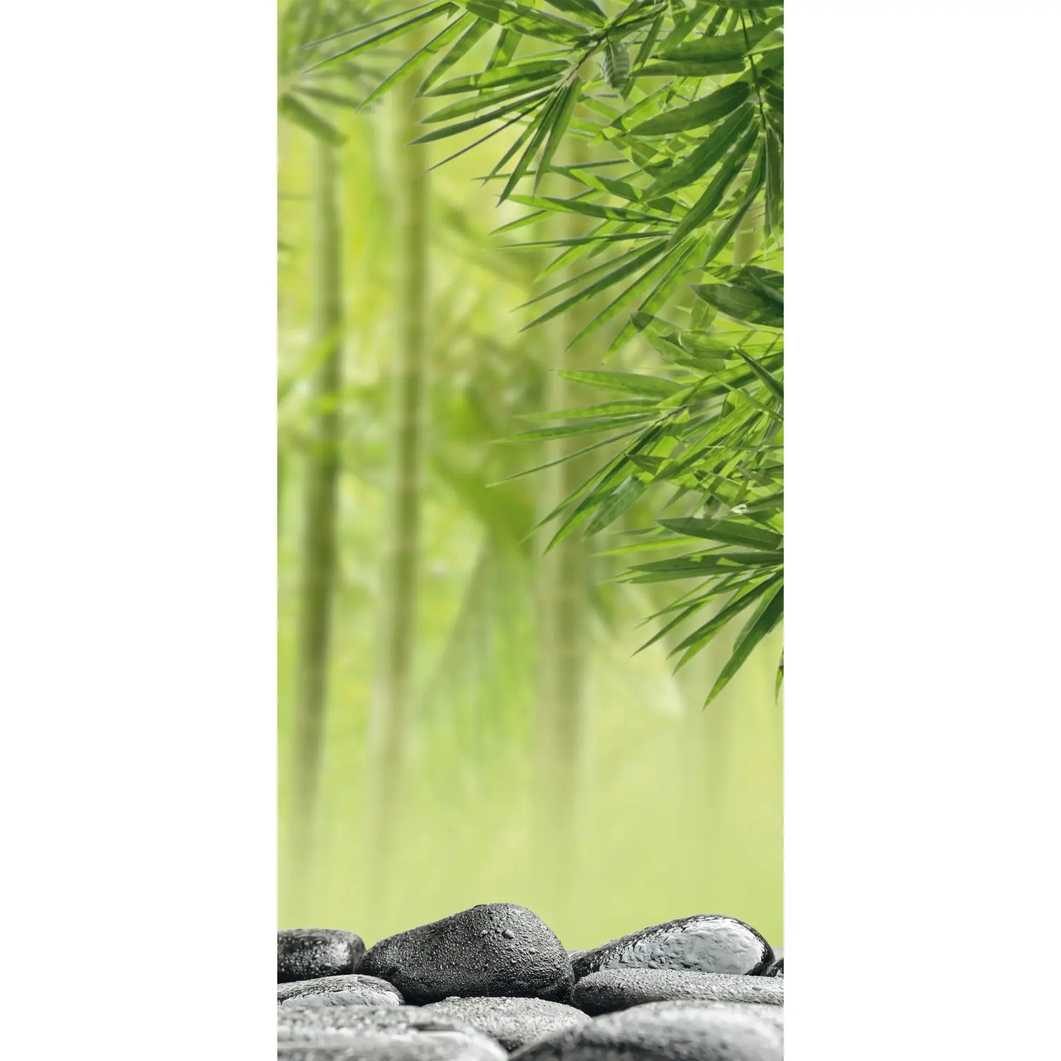 Sanotechnik Dekorativní sprchový panel Sanowall, wellness P, 125 x 250 cm