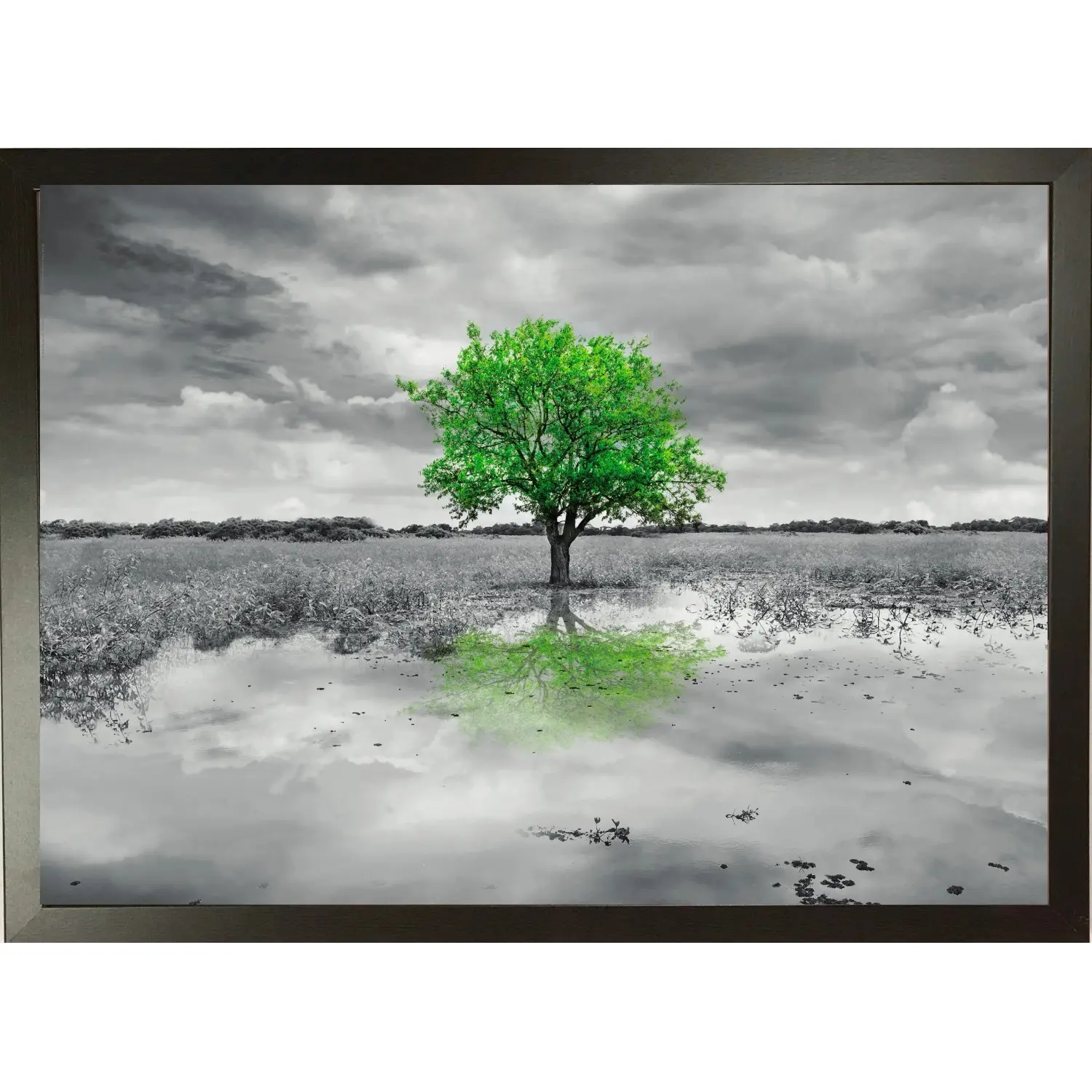 Bondecor Zarámovaný obraz Zelený strom 50 x 70 cm