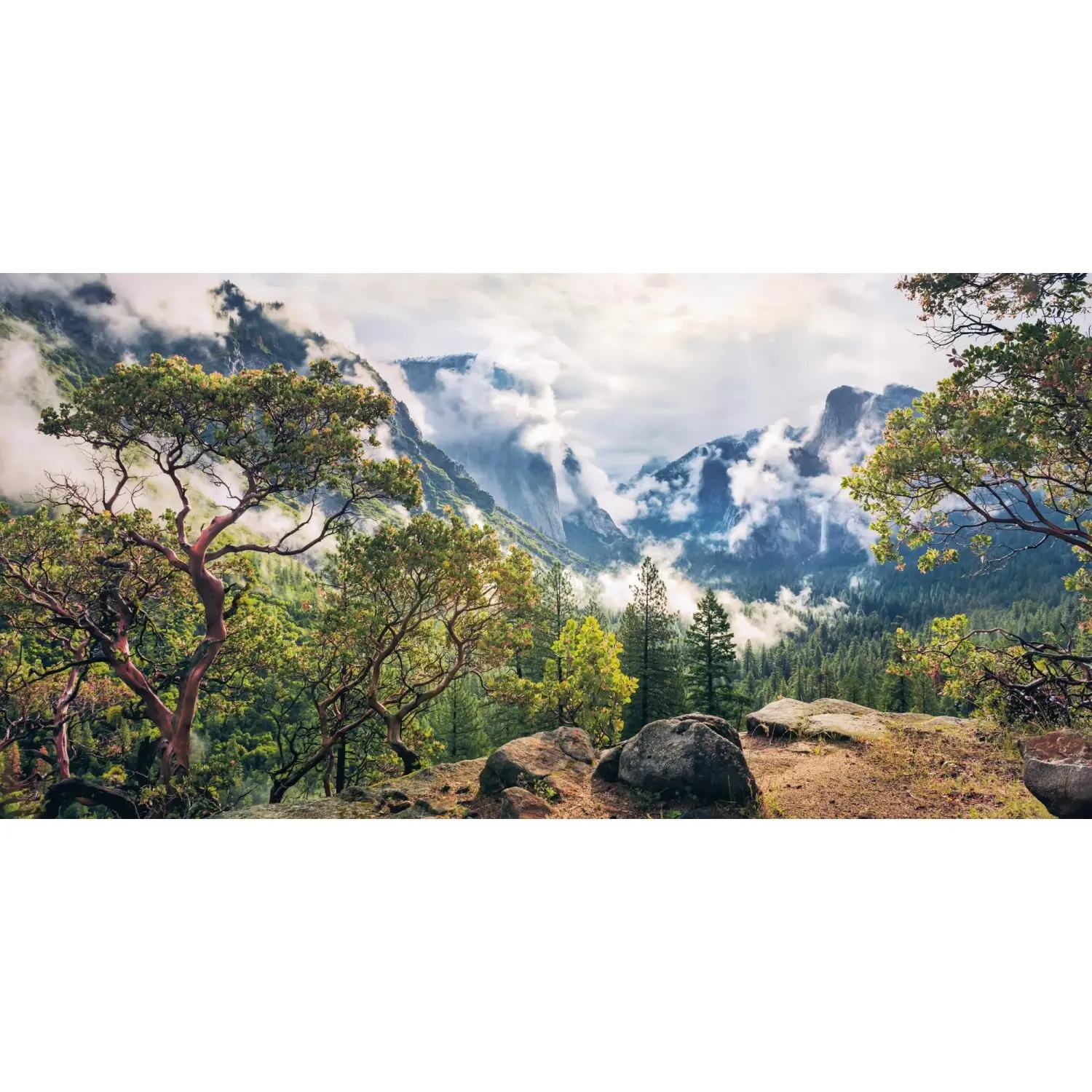 Komar Vliesová fototapeta Unique Paradise 200 x 100 cm