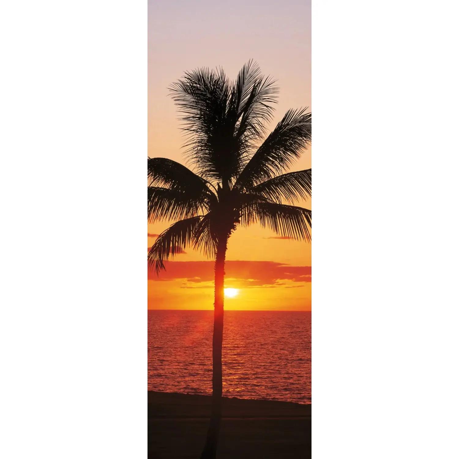 Komar Vliesová fototapeta Hawaii 100 x 280 cm