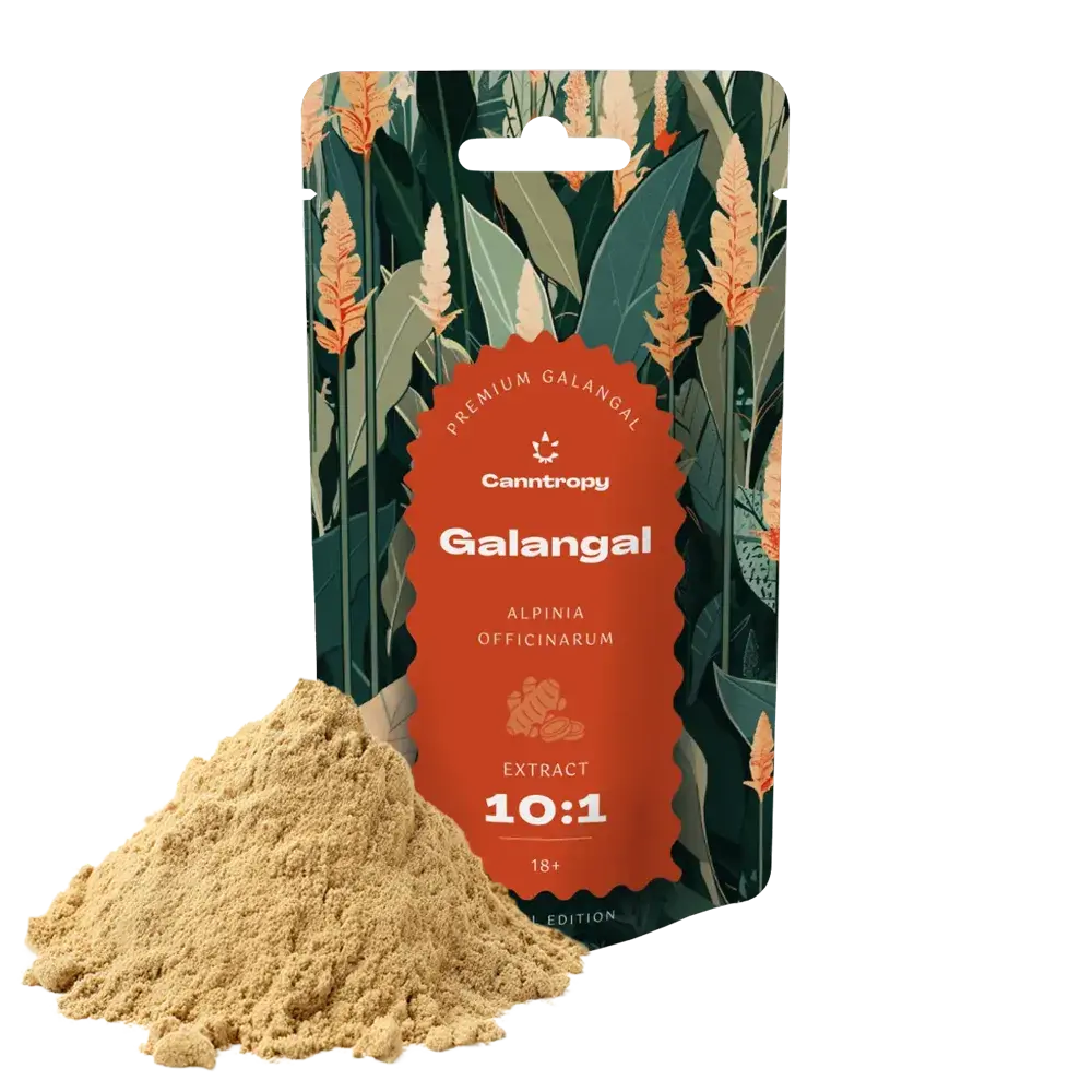 Canntropy Galgán lékařský (Alpinia officinarum), Extrakt 10:1, 10 - 100 g