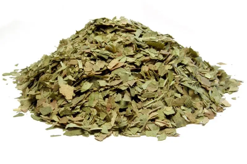 Bylík Ginkgo biloba list 400g