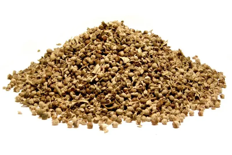 Bylík Drmek plod 50g