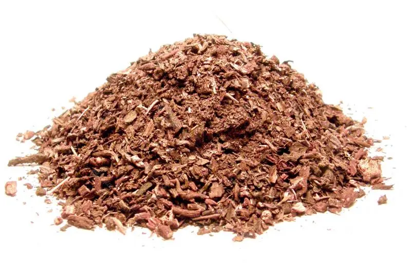 Bylík Kamejník kořen