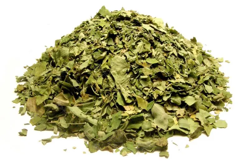 Bylík Moringa list