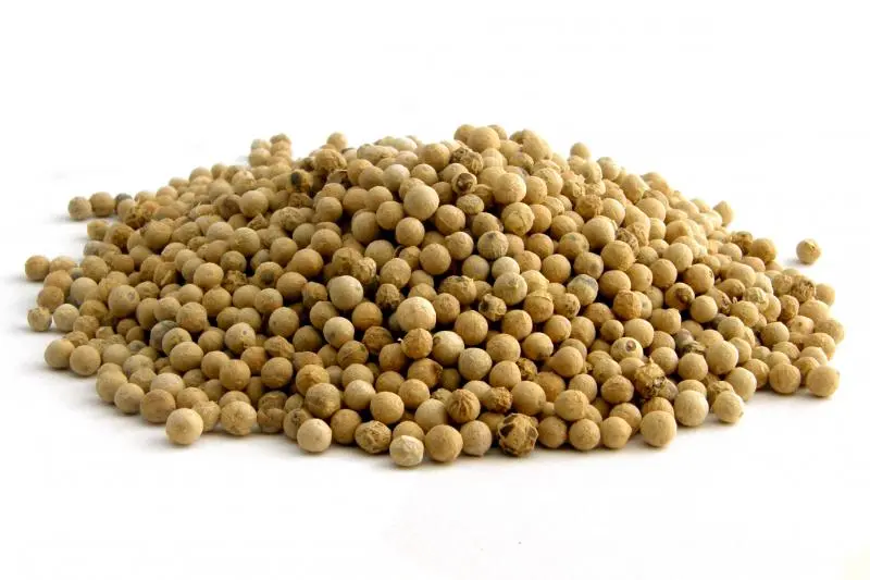 Bylík Pepř bílý celý 200g