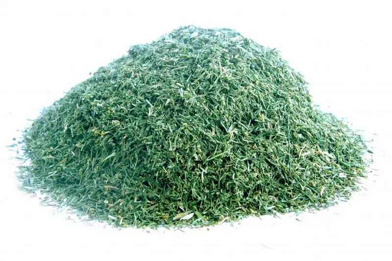 Bylík Kopr nať 300g