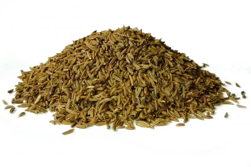 Bylík Kmín celý 300g