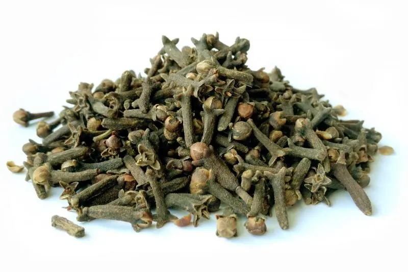 Bylík Hřebíček květ 30g