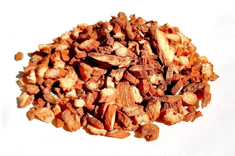 Bylík Šalvěj červenokořenná kořen 250g