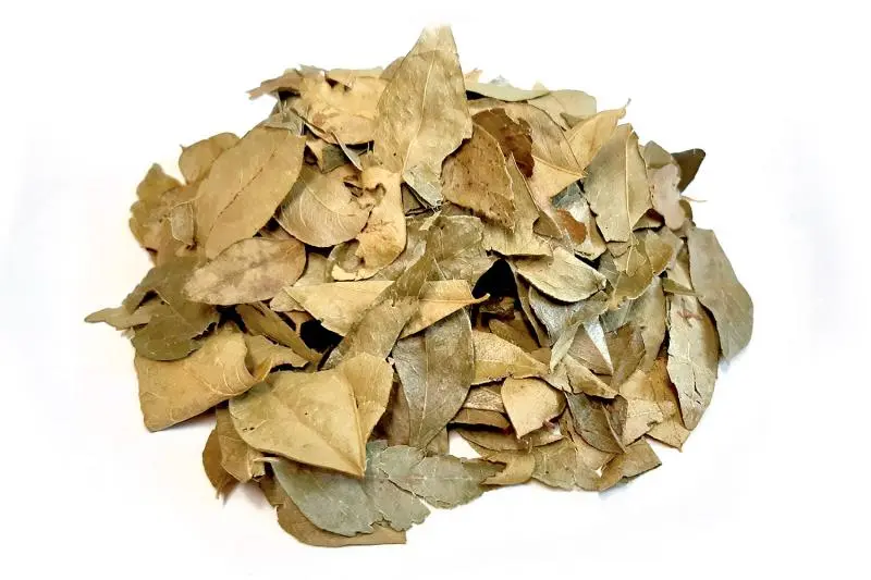 Bylík Karí lístky list 30g