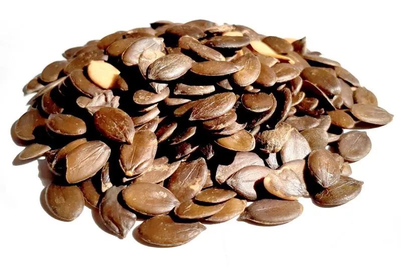 Bylík Dýně EU semínko loupané 500g
