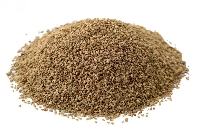 Bylík Celer semínko 150g