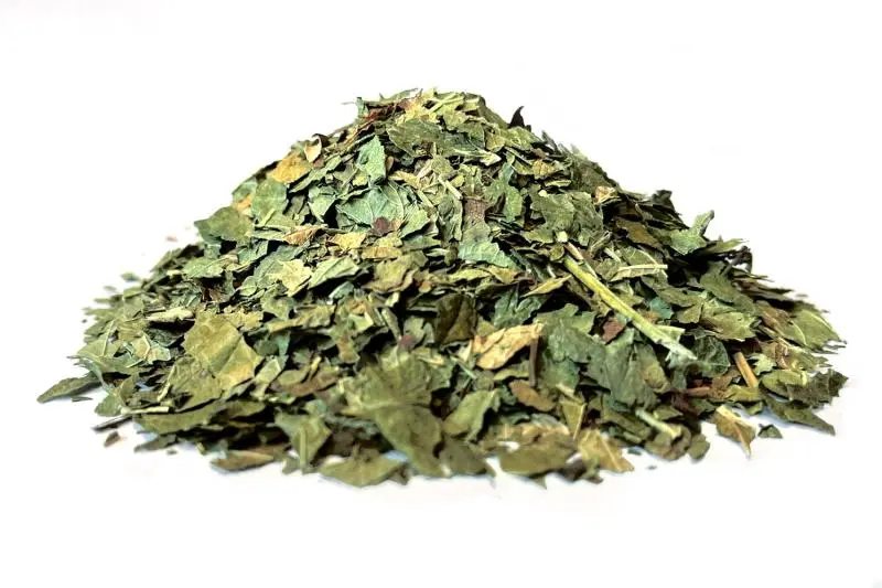 Bylík Rybíz list 200g