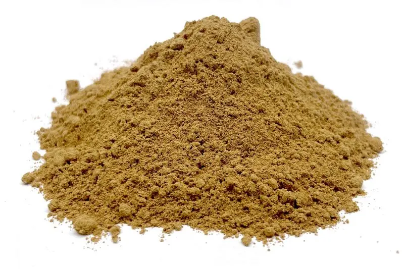 Bylík Cordyceps sinensis prášek 300g