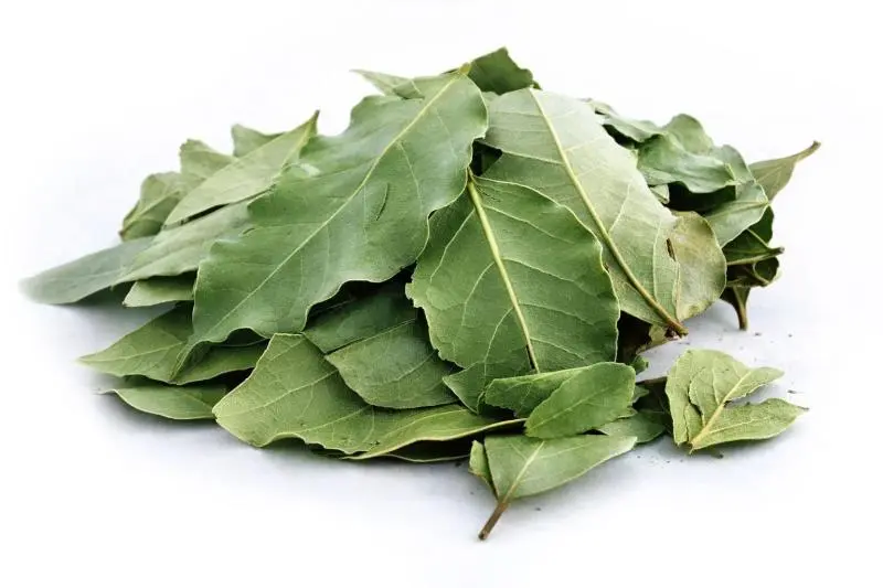 Bylík Bobkový list list tříděný 100g