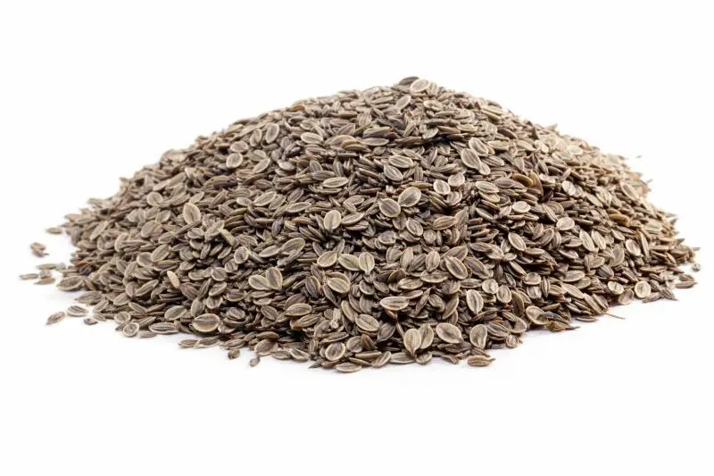 Bylík Kopr semeno 200g