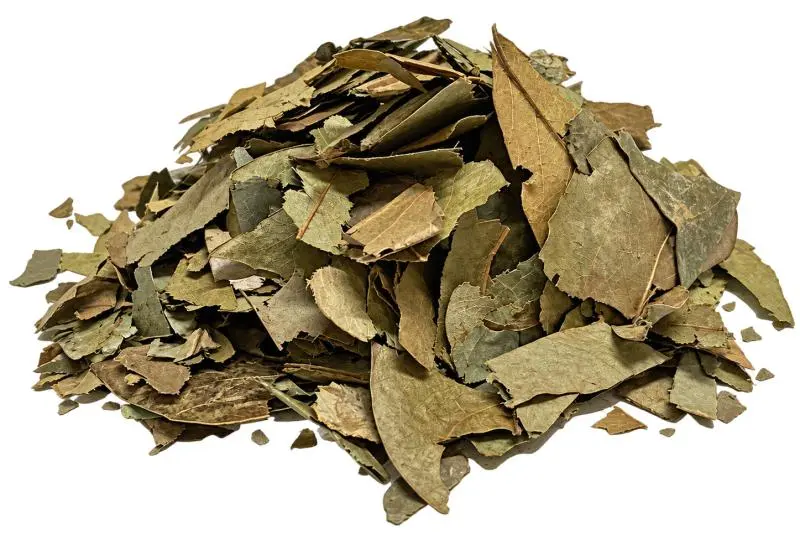 Bylík Graviola list 50g