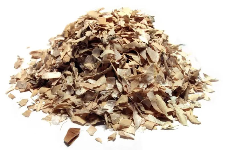 Bylík Fazole oplodí 150g