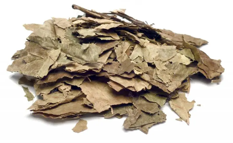 Bylík Achiote list 100g