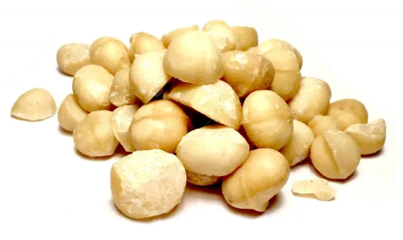 Bylík Makadamové ořechy 250g