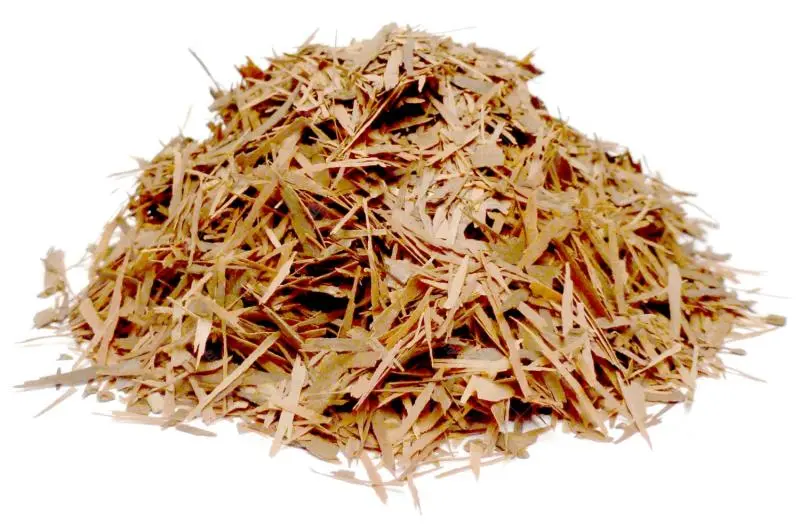 Bylík Lapacho kůra 100g