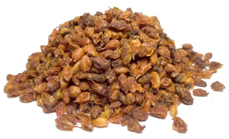 Bylík Rakytník  plod 400g