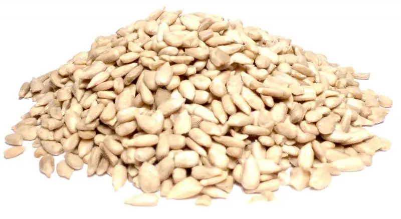 Bylík Slunečnice semínko loupané 250g