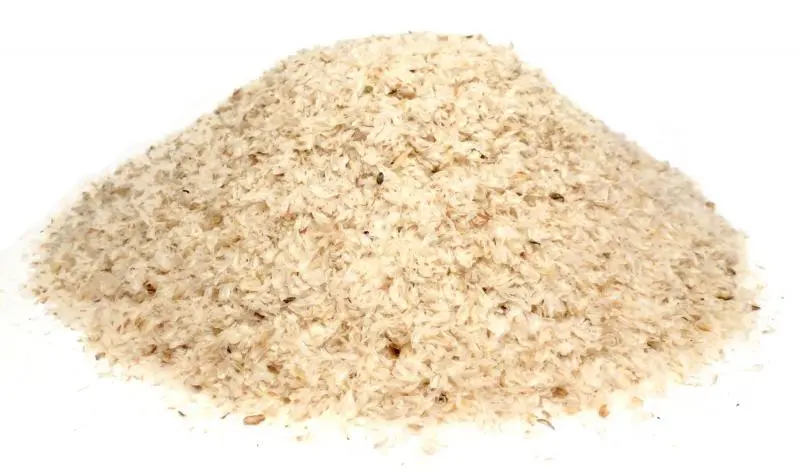 Bylík Psyllium  osemení 100g