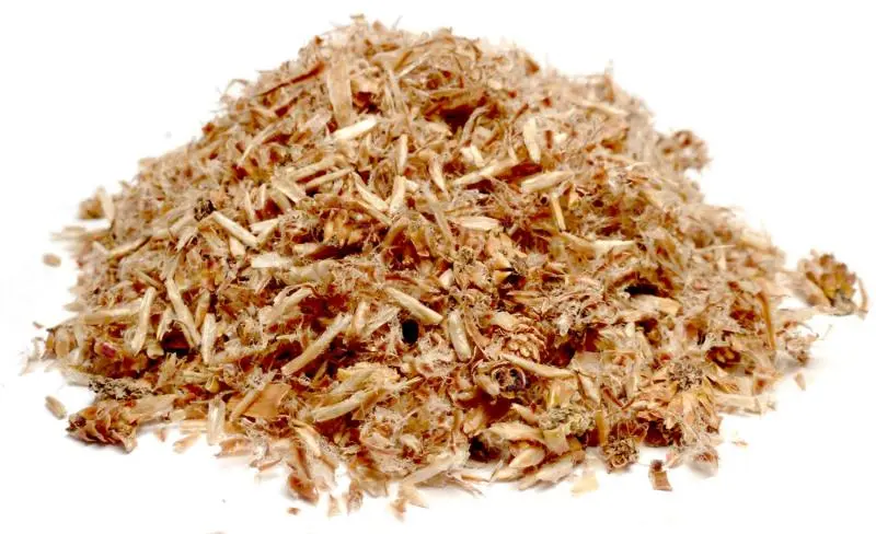 Bylík Borovice výhonky 300g