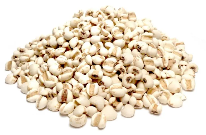 Bylík Slzovka semeno 150g