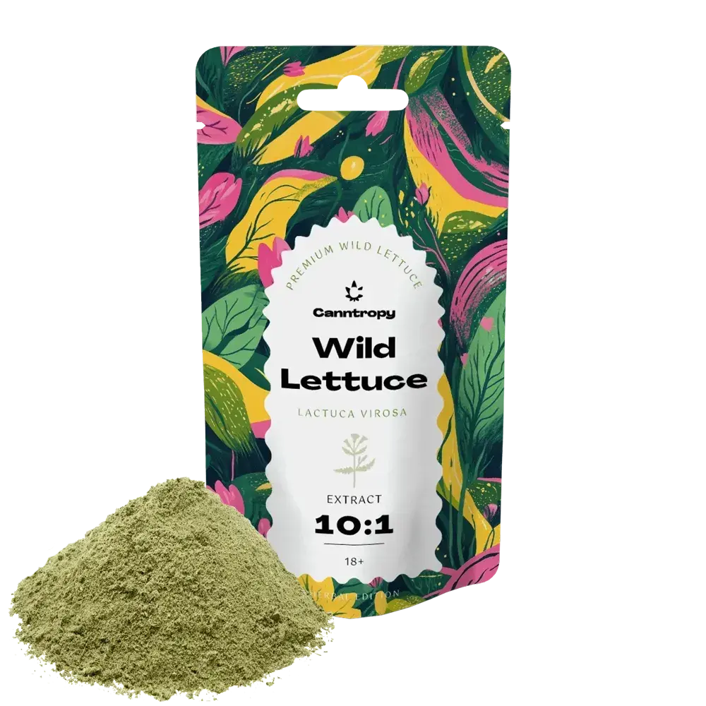 Canntropy Locika jedovatá (Lactuca virosa) Extrakt 10:1, 5 g - 100 g 100 gramů