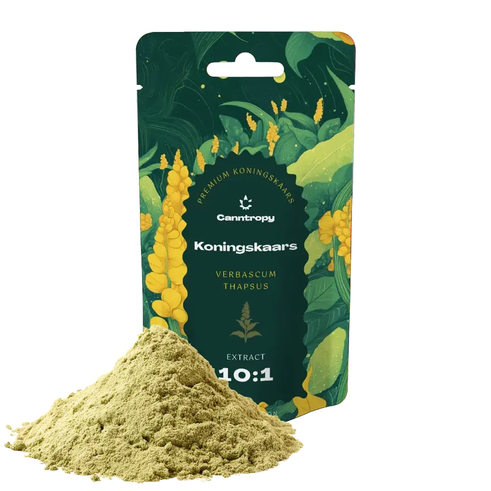 Canntropy Divizna malokvětá (Verbascum thapsus) Extrakt 10:1, 5 g - 100 g