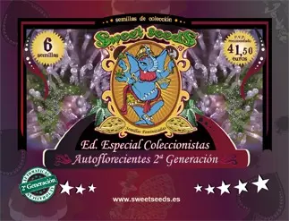 Mix Auto 2G - fem. a samonakvétací semínka 6ks Sweet Seeds