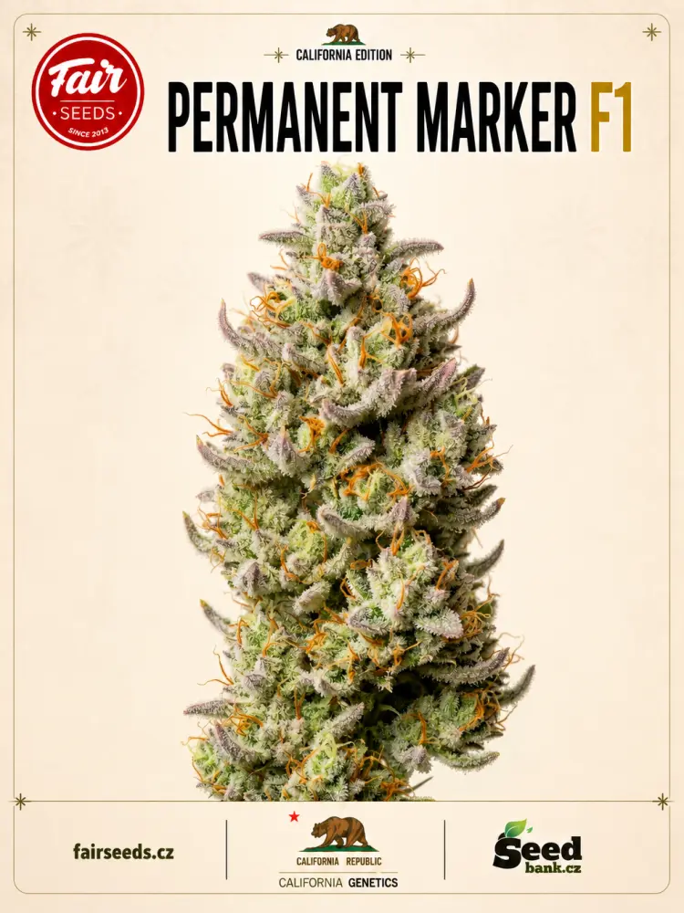 Fair Seeds Permanent Marker F1 feminizovaná semena