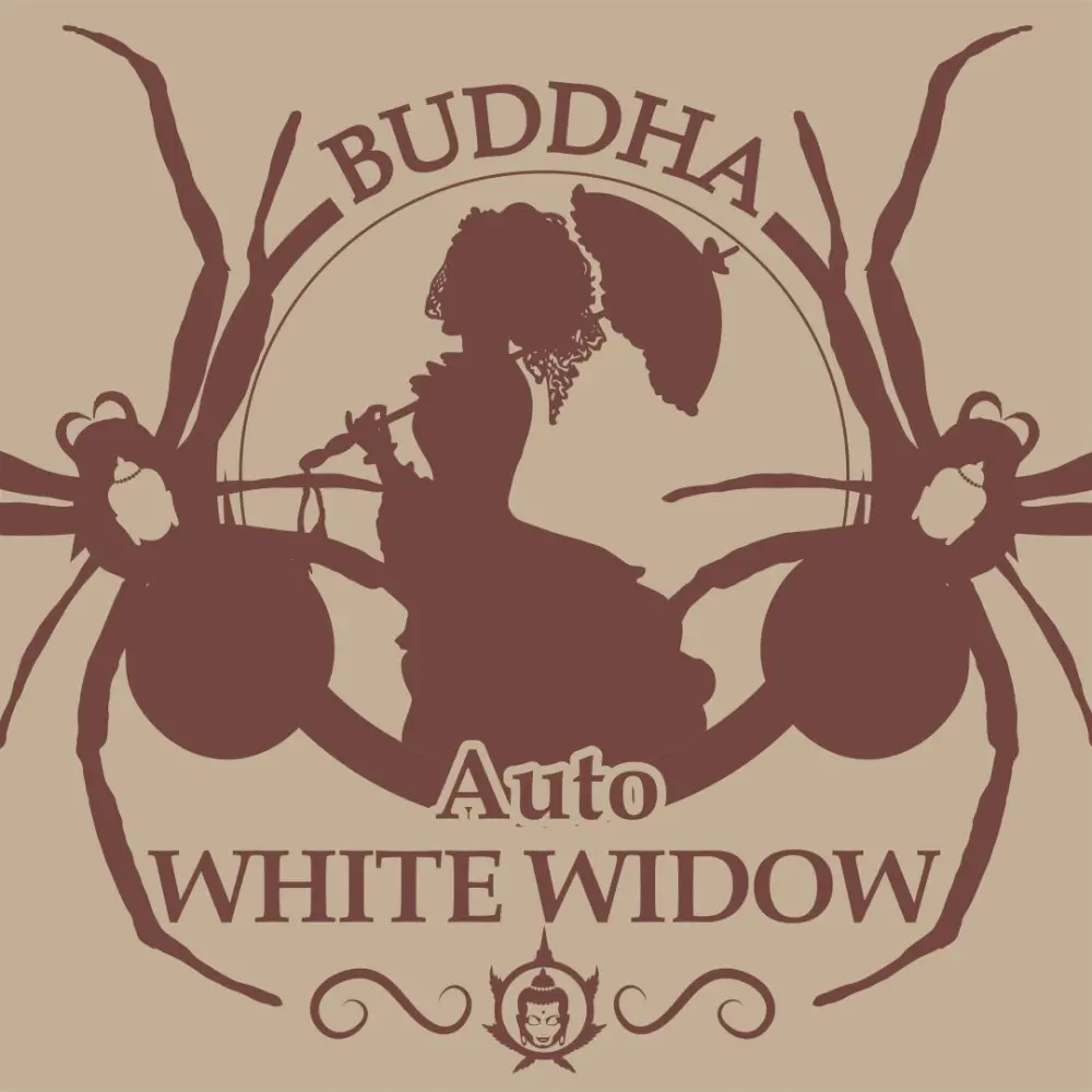 Buddha Auto White Widow, 10 ks, Buddha Seeds